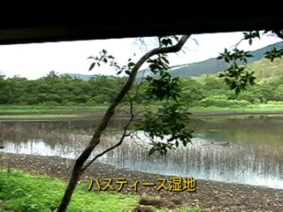 c0047906_15552689.jpg