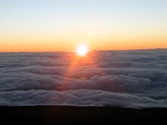b0001980_62291.jpg