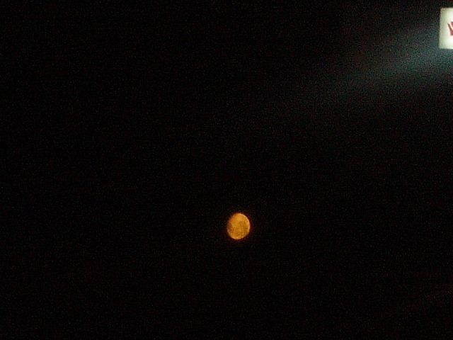 a0002209_2318361.jpg