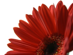 b0015885_23255441.jpg
