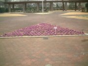 b0031710_9131260.jpg