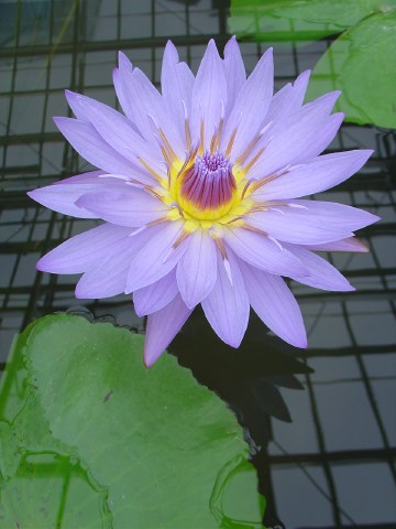 熱川に行って来ました。_b0033423_154275.jpg