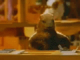 Off to work!_c0044025_18425915.gif
