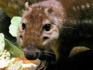 a0001971_0262142.jpg
