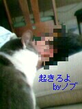 a0013479_23191630.jpg