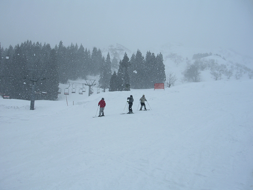 b0011345_2219293.gif