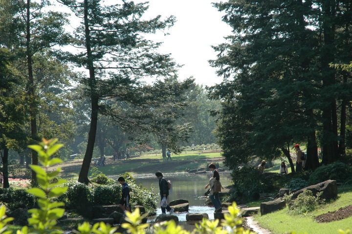 c0064297_15154623.jpg