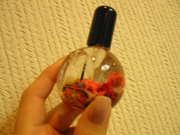 c0045237_85586.jpg
