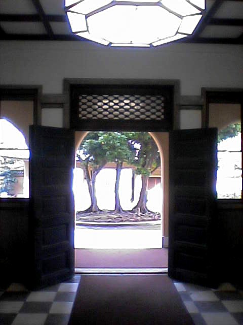 年金未納_a0036051_0123776.jpg