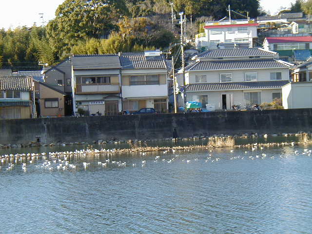 c0011169_98473.jpg