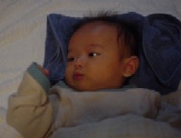 c0065405_057463.jpg