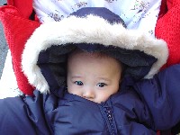 c0065405_2585036.jpg