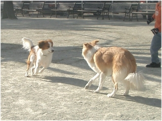 春一番_c0065512_1481885.jpg