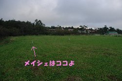 高原の少女(?)_c0065512_20251658.jpg