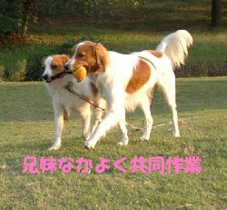 Jくんと樹林公園_c0065512_2033192.jpg