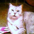 c0060920_10204655.jpg