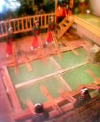 c0005239_550195.jpg