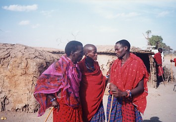 c0011649_9152492.jpg