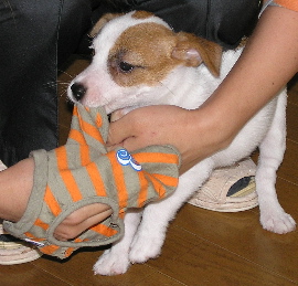 b0065067_09995.jpg