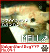 c0025975_16465489.gif