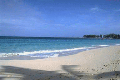c0064395_1147292.gif