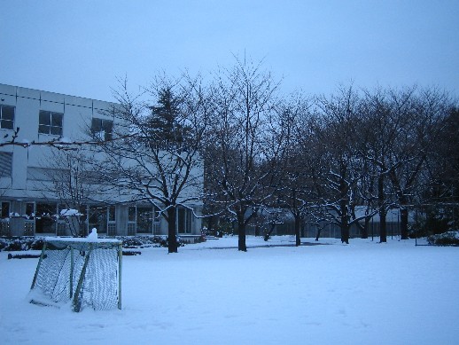 雪_b0066235_7192890.jpg