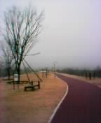 c0065744_8846.jpg