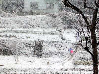 雪景色。_a0026127_22184656.jpg