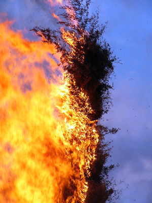 2005年2月26日 富士山の日に火がつく・ファイヤー！_a0008934_20123362.jpg