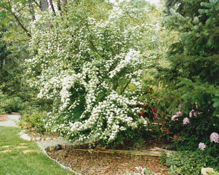 b0022138_14491069.jpg