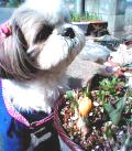 b0042508_23473869.jpg