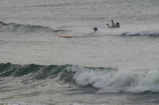 a0002209_21335581.jpg