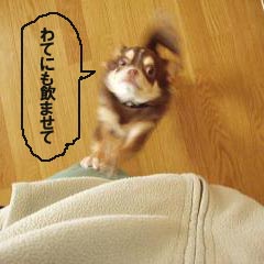 c0036617_84655.jpg