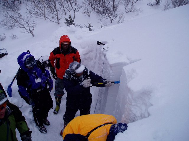 東北雪崩講習会【積雪観察】　2005/2/26-27_c0008548_19294022.jpg