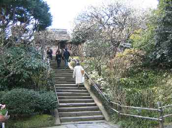 b0009849_1775897.jpg