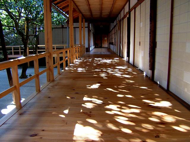 c0059485_18277.jpg