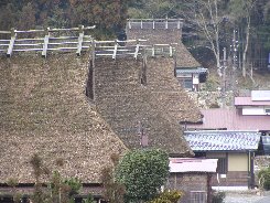 かやぶきの里（京都府美山町）_a0004391_1230260.jpg