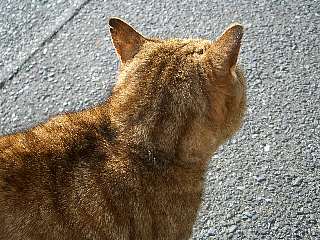 b0061107_22213249.jpg