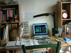 c0022913_22512663.gif