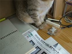 c0022913_22513795.gif