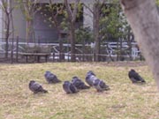 ＊とりあえず行ってみる＊　　2005,2,26_a0030038_154180.jpg
