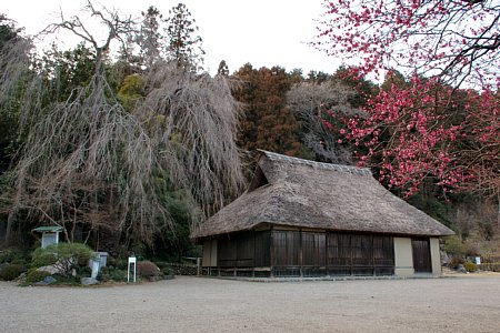 埼玉名物 重要文化財編_c0053095_0274573.jpg