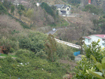 b0058229_19155243.jpg