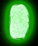 a0028694_11174044.jpg