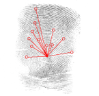 a0028694_11181232.gif