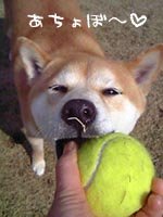 c0060620_20302553.jpg