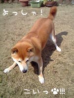 c0060620_20312264.jpg