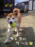 c0060620_20313163.jpg