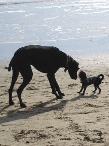 b0035453_13142977.gif