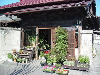 現在の「ニコグサ」と建物のこと_c0069389_13313763.jpg